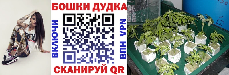 Купить наркоту Бирюч МАРИХУАНА  АМФЕТАМИН  МЕФ  КОКАИН  Псилоцибиновые грибы  СК 