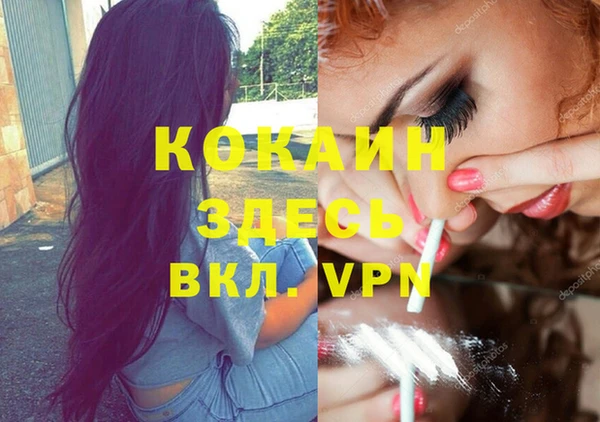 хмурый Абаза