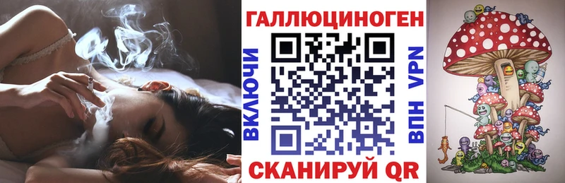 Галлюциногенные грибы прущие грибы  Бирюч 